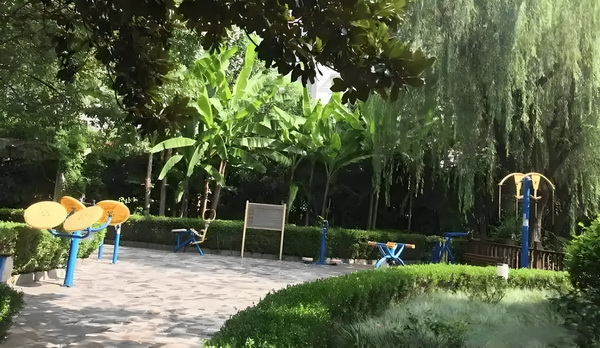 大学毕业生转深户_陈佩斯这部高评佳作实至名归 陈佩斯这部倍来“安访